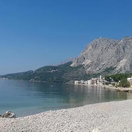 Sulenta * 德朗西斯