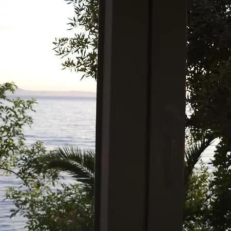 Sulenta 德朗西斯