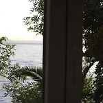 Sulenta 德朗西斯